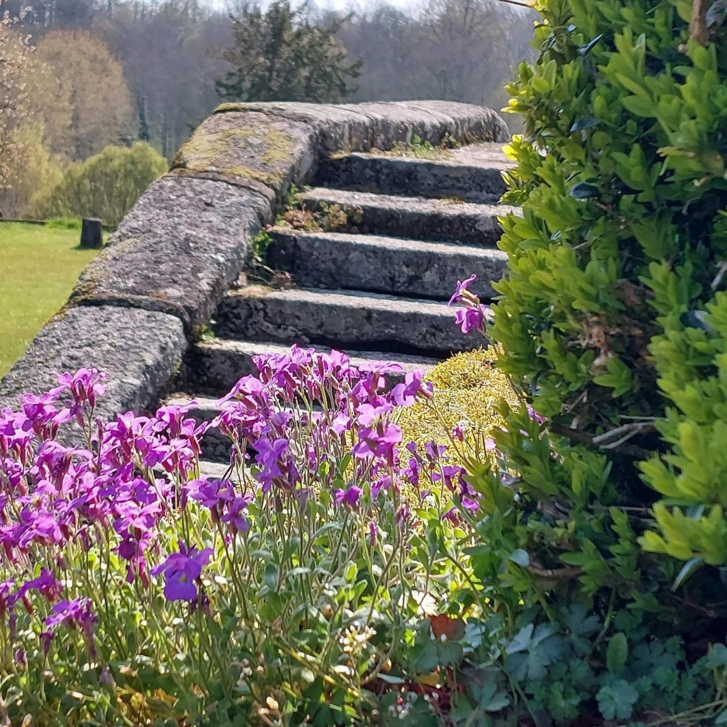 Gesnes-le-Gandelin Chateau De Vauxヴィラ エクステリア 写真